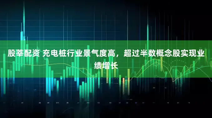 股莘配资 充电桩行业景气度高，超过半数概念股实现业绩增长