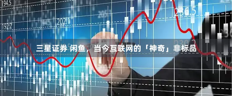 三星证券 闲鱼，当今互联网的「神奇」非标品