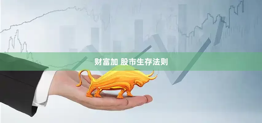 财富加 股市生存法则